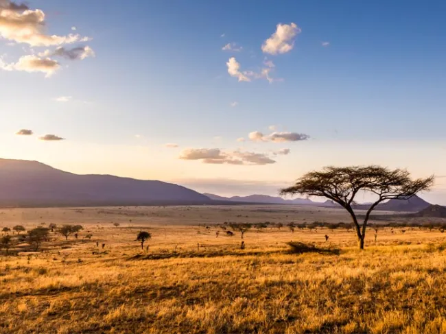 Africa